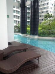 Lucida (D11), Apartment #466957031